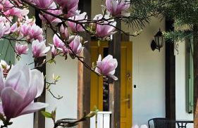 Forest House Podwilczyn with sauna & fireplace - Foto 18