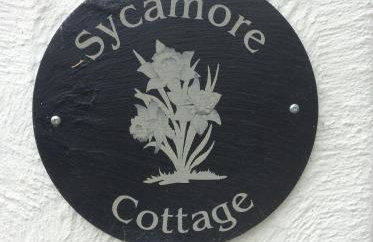 Sycamore Cottage - Photo 4