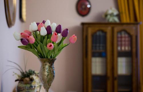 Oaza Mira LAZE - Foto 53