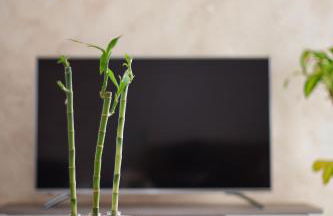 Villa Castro - Photo 44