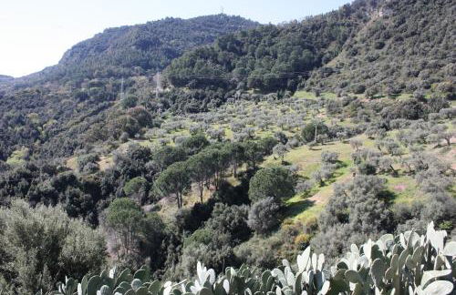 Azienda Agrituristica Le Puzelle - Photo 49