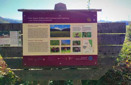 Ferienhaus Laange - Foto 23