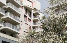 Eiffel seightseing - Foto 24