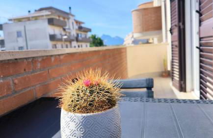 Sunrise Home - Sabaudia - Foto 16