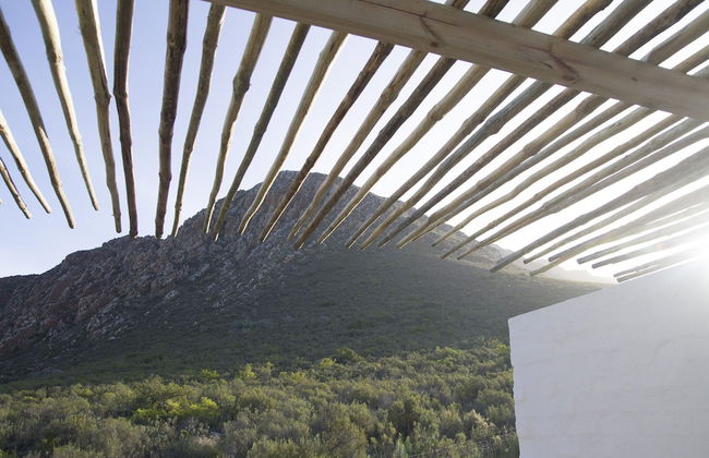 Kogman and Keisie Guest Farm - Foto 44