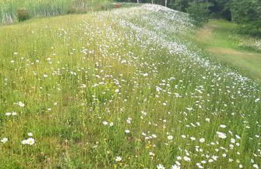 Snug & Secluded Lakeside Shepherds Hut 'Carp' - Foto 48