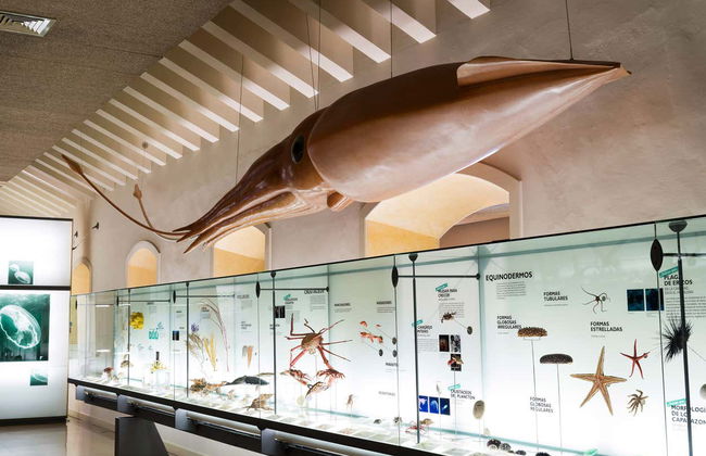 MUNA Museum Tickets + Teide National Park Audio Guide - Foto 7