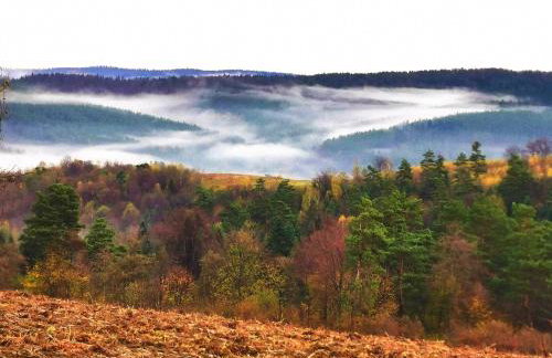 Ośrodek VolfCamp Kwaszenina - Foto 59