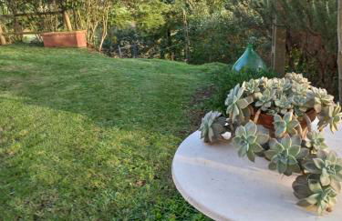 Podere Campanella - Photo 27