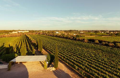 Tenuta Giardini Nuovi - Foto 11