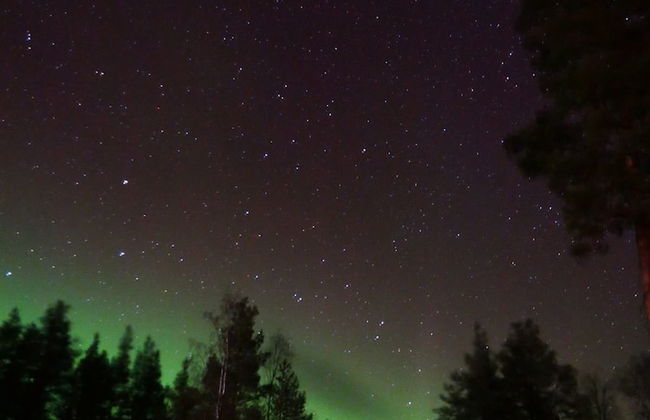 Vildmarks Lodge - Photo 64