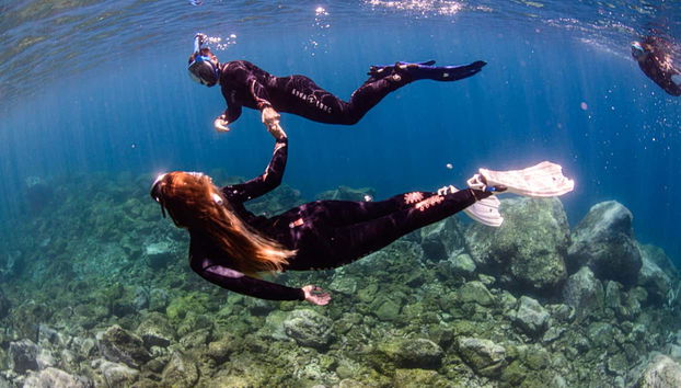 Contemplez la beauté sous-marine de Tenerife