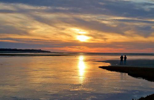 Beautiful Home Close to Ponds and Beach - Photo 29