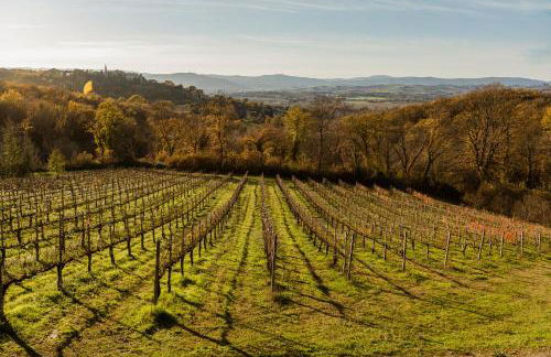 Agriturismo Le Cerque - Photo 14