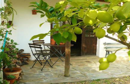 Casa da Tia Luísa - Foto 29