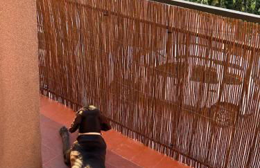 Can Sablet - Foto 29