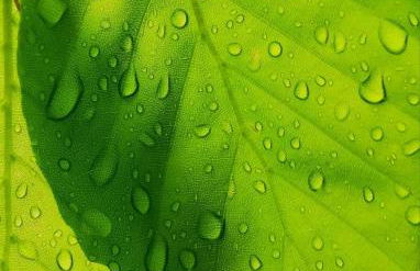 Odenwald Lounge im Naturpark Bergstraße-Odenwald - Photo 23