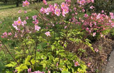 Landhaus Weber - Foto 36