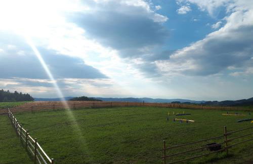 Ferienwohnung am Dachsberg, Bayerischer Wald - Foto 34