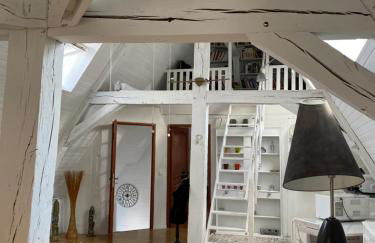 Loft de Lancelot City Center - Foto 12