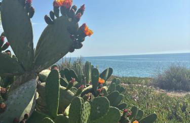 CHALET directo al MAR - Photo 36