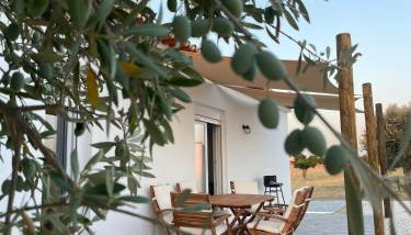 Monte Ti Bento - Foto 2, Garden