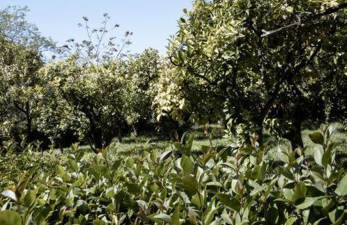 Le Tre Sorelle - Foto 60