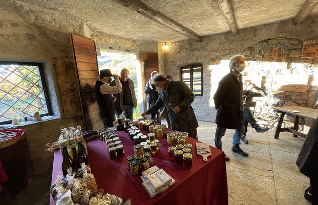 Roseto del Drago - Foto 63