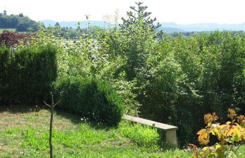 Zentrales 2-Zimmer Apartment - Foto 17