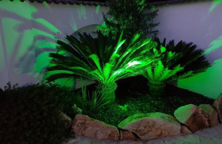 villa aranda - Photo 30