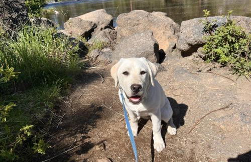 Bluebird Day - Canyon Retreat - Foto 33