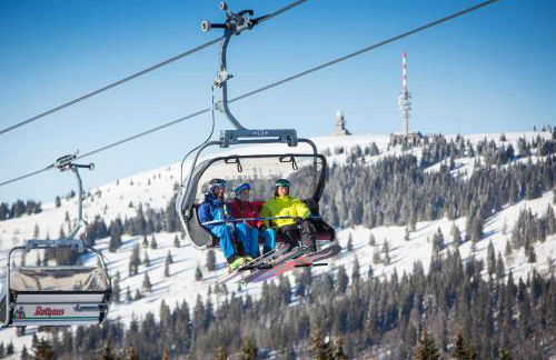 Ferienwohnung Sohnrey für 4 Gäste, Titisee-Neustadt - Foto 20