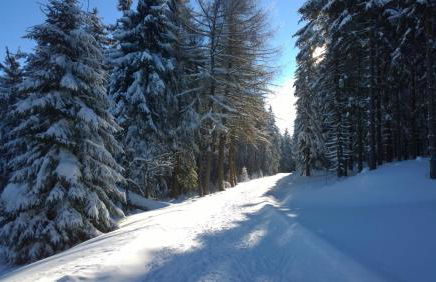 Panoramaferienwohnung Bergwiese - Foto 23