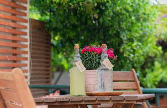 Lemon Tree House - Photo 3