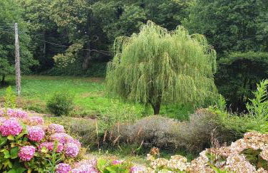 Belle maison entièrement rénovée avec jardin, WIFI, à 400m de la mer à ST QUAY-PERROS - Ref 871 - Foto 22