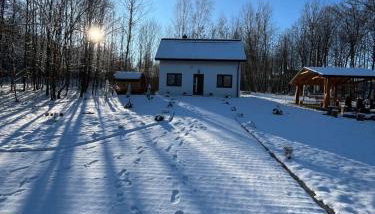 Domek w lesie Sauna i Gorąca balia Wellness&Spa - Foto 5