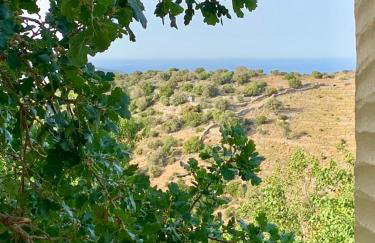 Παραδοσιακός πέτρινος ξενώνας σε φάρμα - Foto 34