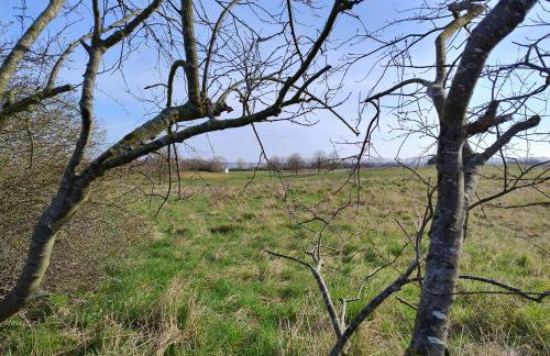 Ostseegolf - Ferienappartement - Foto 27