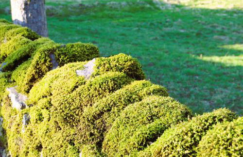 The Beautiful Bobbin - Premium Cottage with views, local walks, wood burner & pubs - Photo 44