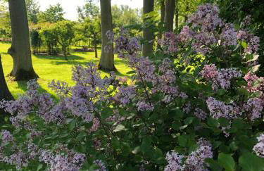 Bielenberg 37 - Foto 16