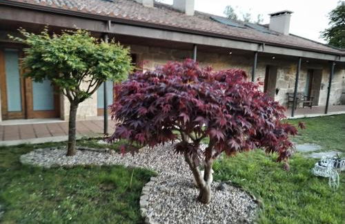 Apartamentos Rias Baixas - Foto 15