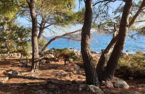 209 Zavala Ferienwohnung - Foto 17