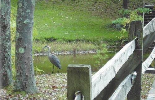 Luxury Cottage at Millpond Falls - Foto 18