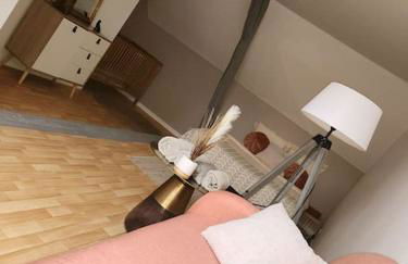 Gîte Animals King'Dôme 8min du Zoo de Beauval - Foto 31