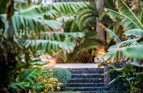 Hacienda El Cardon - Foto 5