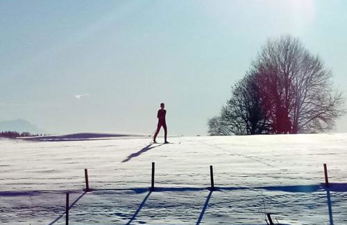 Allgäu Ferienhof Schönberger - Photo 68