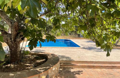 Tapada da Figueira by NaturAlegre - Foto 12