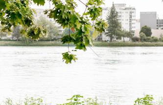 A21 Rhine view condo by the 3-countries-bridge - Foto 7