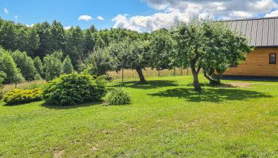 Domek letniskowy Wigsun - Foto 4, Garden, Garden view