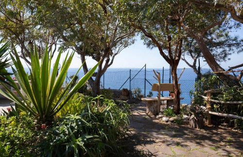 Ville Pini e Aurelia - Foto 52